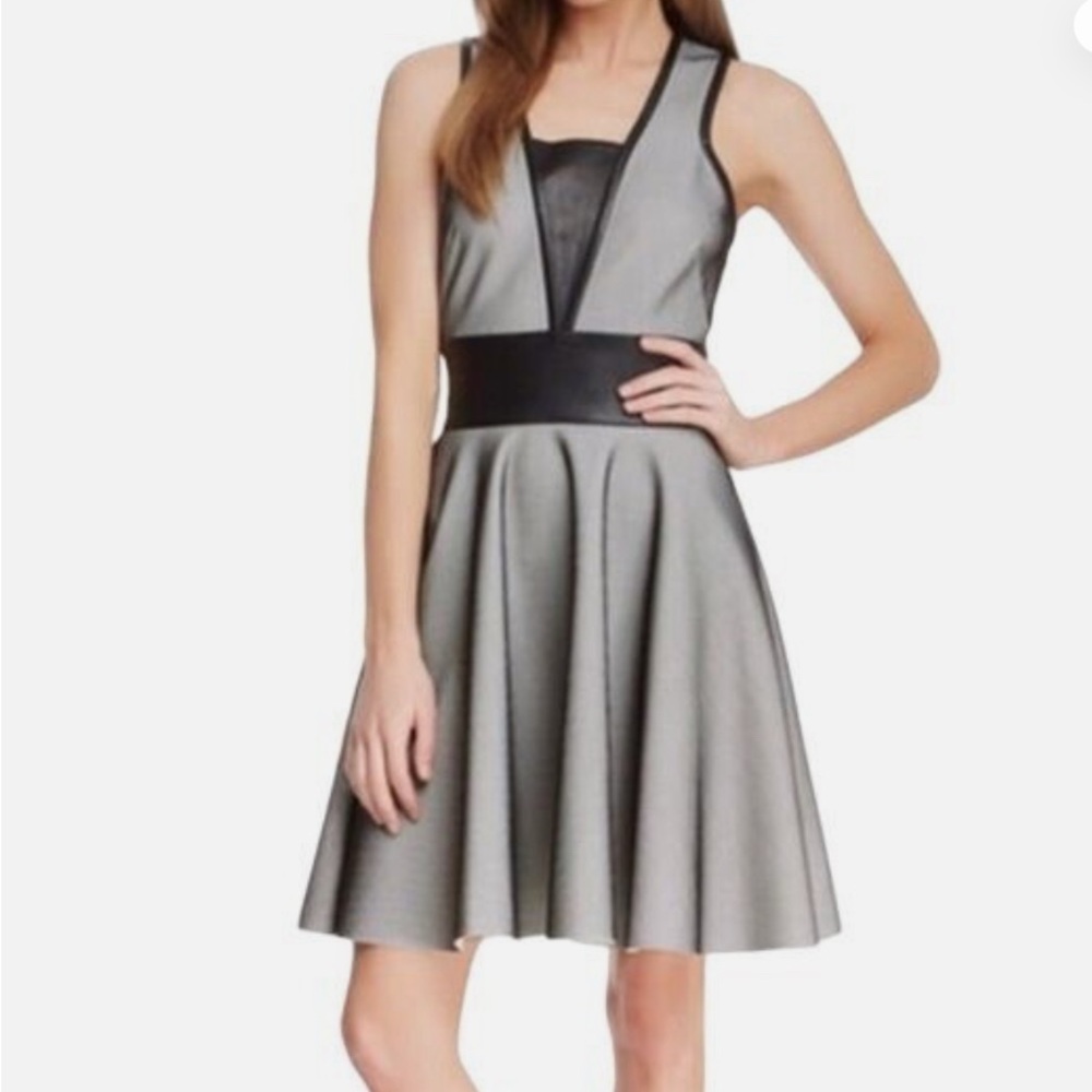 Robert Rodriguez bonded mesh and leather trimmed dress (black with blush)